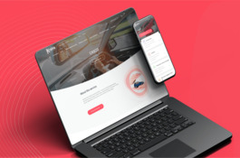 Insurance on a Smartphone: case Kraina